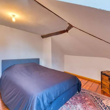 Michael Beau F3 Daire